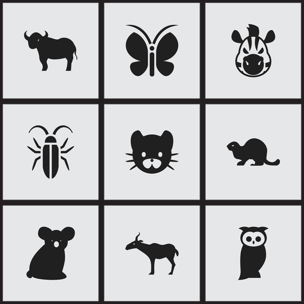 Zestaw 9 edycji ikon zwierzęcych. Zawiera symbole, takie jak Gazela, Koci, wół i więcej. Mogą być używane dla sieci Web, mobilnych, interfejsu użytkownika i Infographic Design. - Wektor, obraz