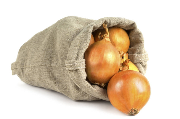   Golden tubers onions - Photo, Image