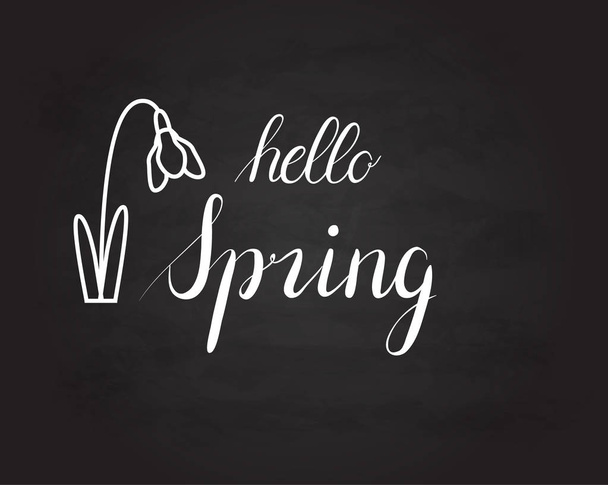 Bonjour Grunge printemps lettrage vintage sur un tableau noir
 - Vecteur, image