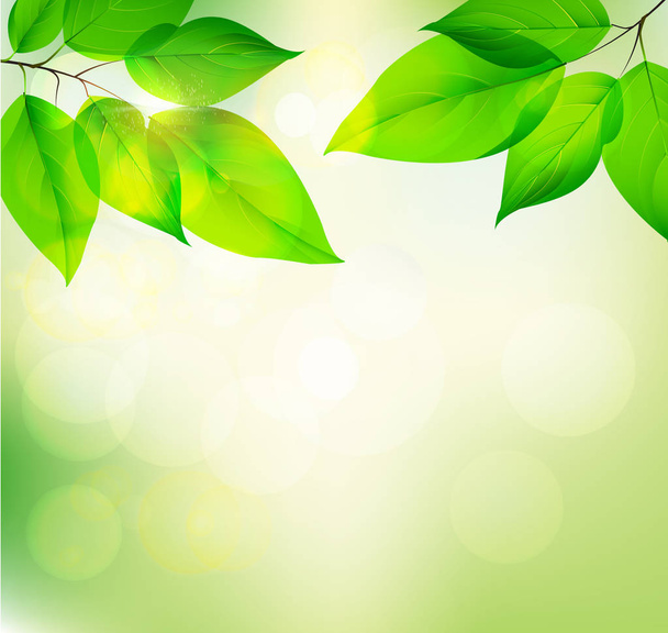 Тло зеленого листя, літній або весняний сезон. Векторні ілюстрації. EPS10
 - Вектор, зображення