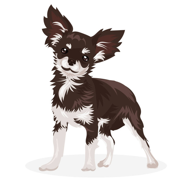 chihuahua funny small dog - Vector, afbeelding