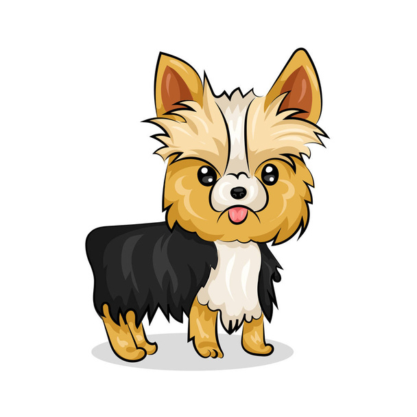 Yorkshire Terrier dog - Wektor, obraz