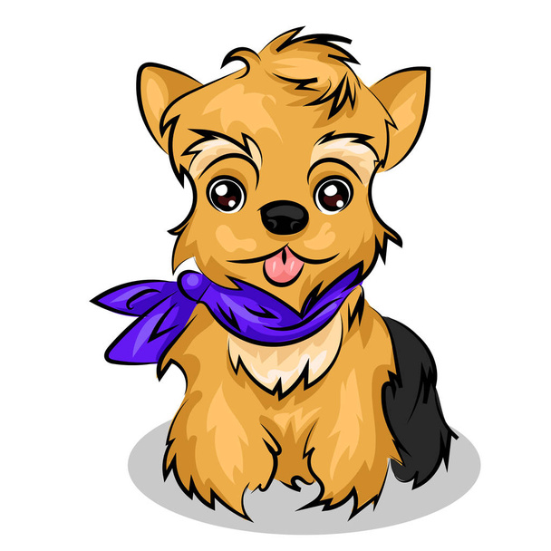 Yorkshire Terrier dog - Vector, Image