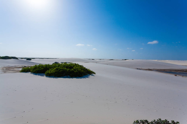 Λευκή αμμόλοφους πανόραμα από το εθνικό πάρκο Lencois Maranhenses - Φωτογραφία, εικόνα