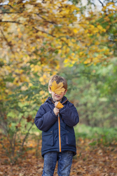 Little Boy and Autumn Leaves, outdoors in the woods hiding behin - Φωτογραφία, εικόνα
