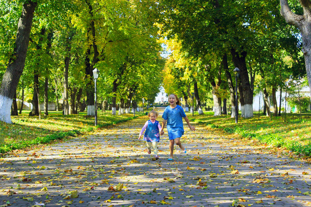 νεαρές αδελφές οι ευτυχείς τρέχει στο Φθινοπωρινό πάρκο - Φωτογραφία, εικόνα