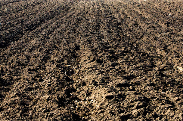 Mezőgazdasági szántóterületek szántott talaj - Fotó, kép