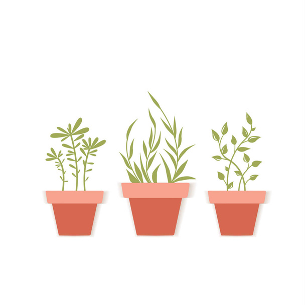 Vector potted plants - Vector, Image