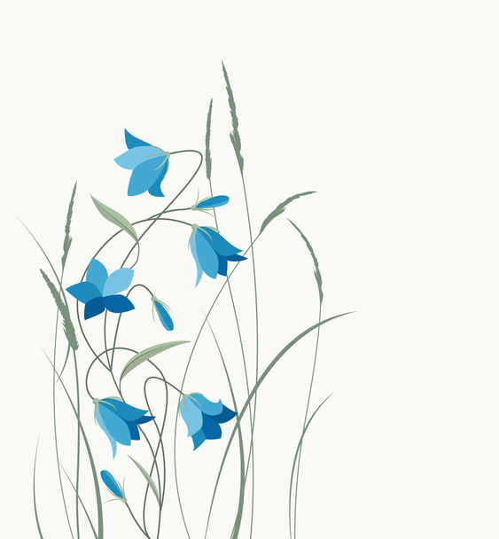 Καλοκαιρινό λουλούδι campanula - Διάνυσμα, εικόνα