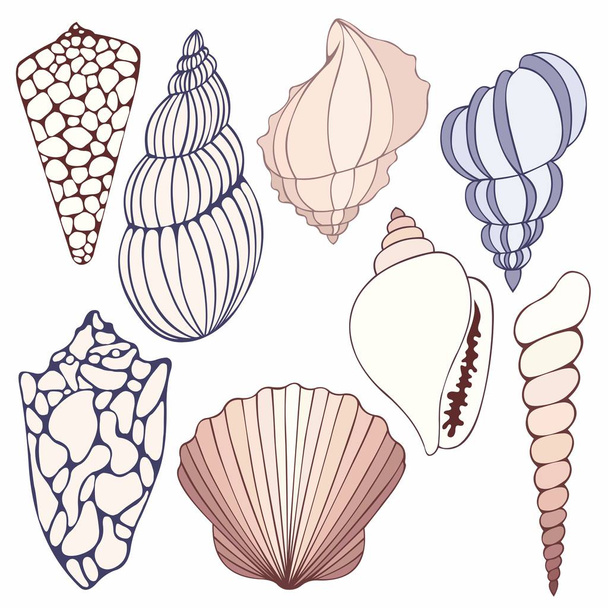 Seashells. Vector set for design - Vektor, kép