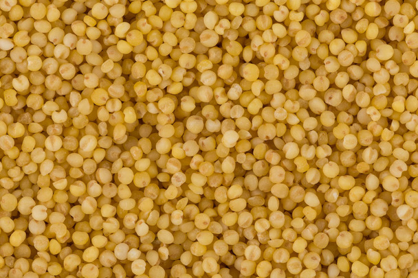 Dry millet closeup - Foto, Imagen