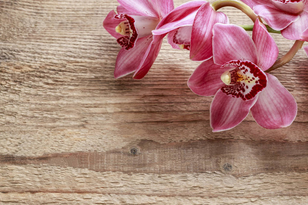 Beautiful pink orchid flowers on wood - Фото, изображение