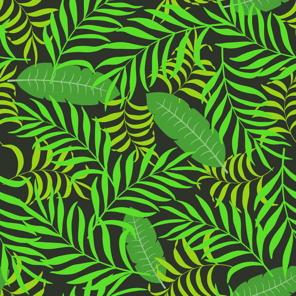 Tropische achtergrond met palmbladeren.  - Vector, afbeelding