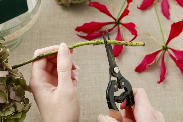 how to make floral arrangement with gloriosa superba, rose, hort - Foto, Bild