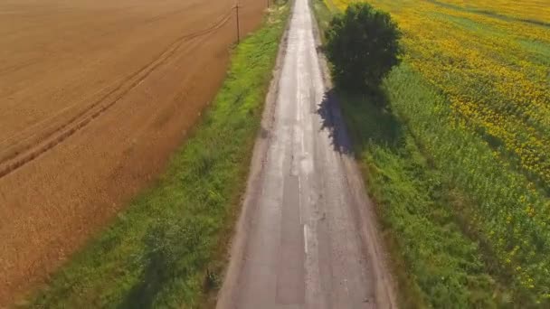 Field and asphalt road. - Footage, Video