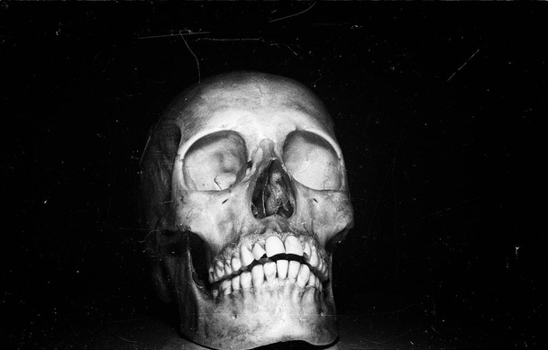 Totenkopf auf schwarzem Hintergrund - Foto, Bild