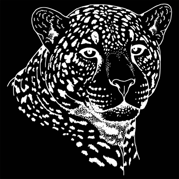 Luipaard gezicht tatoeage, vectorillustratie, afdrukken - Vector, afbeelding