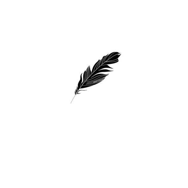 Graphic feather sign - Vector, Image
