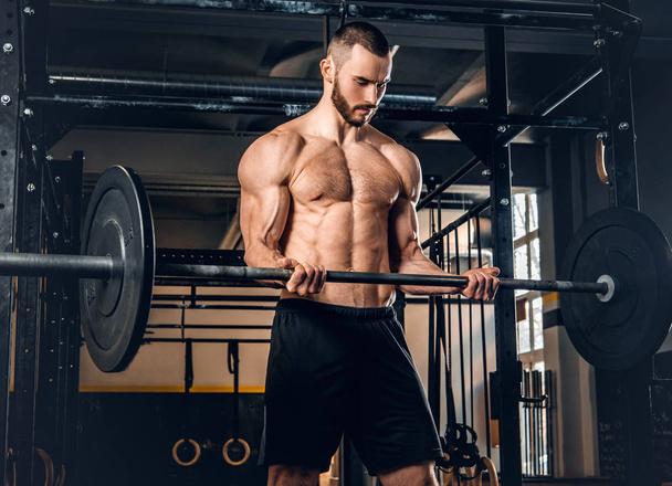 Shirtless male doing biceps workout - Photo, Image