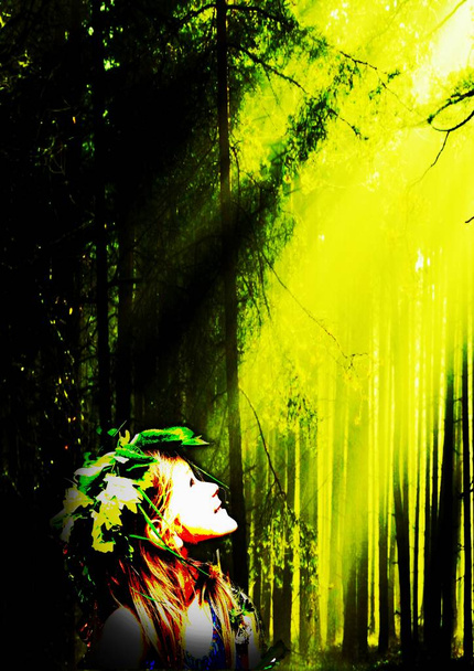 Κορίτσι, Δάσος νεράιδων ψάχνει στον ήλιο που λάμπει μέσα από τα χοντρά κλαδιά. Ελεύθερο χώρο για το κείμενό σας. - Φωτογραφία, εικόνα