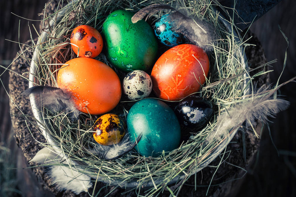 Closeup of Easter eggs with hay and feathers - Foto, imagen