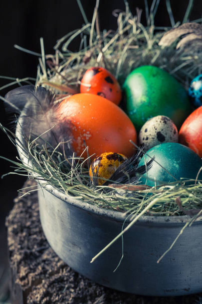 Крупним планом барвисті яйця на Великдень на сіно
 - Фото, зображення