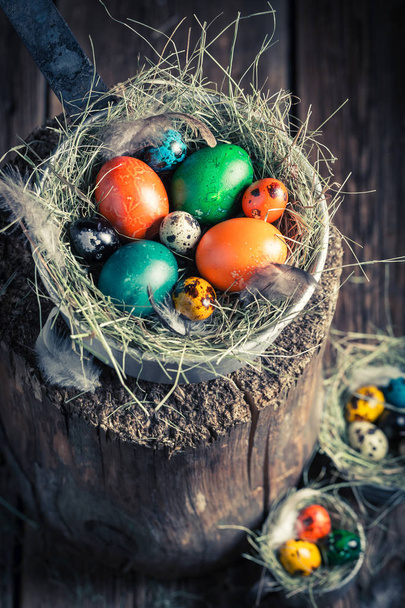 Ecological Easter eggs in wooden small henhouse - Фото, зображення