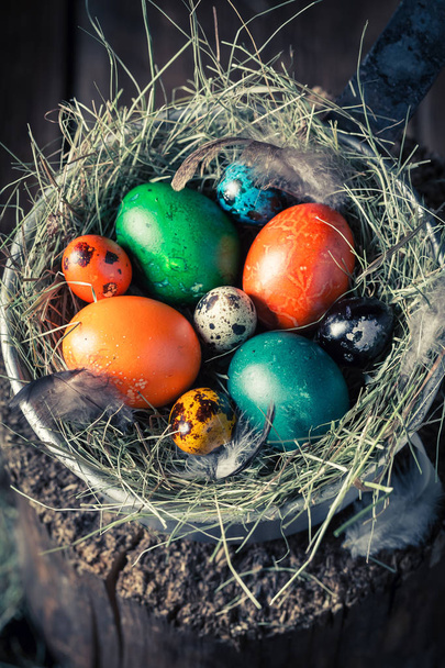 Colourfull Easter eggs in the rustic cottage - Фото, зображення