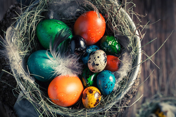 Fresh Easter eggs in the nest with hay - Φωτογραφία, εικόνα