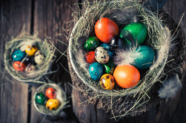 Ecological eggs for Easter in the nest with hay - Foto, Imagem