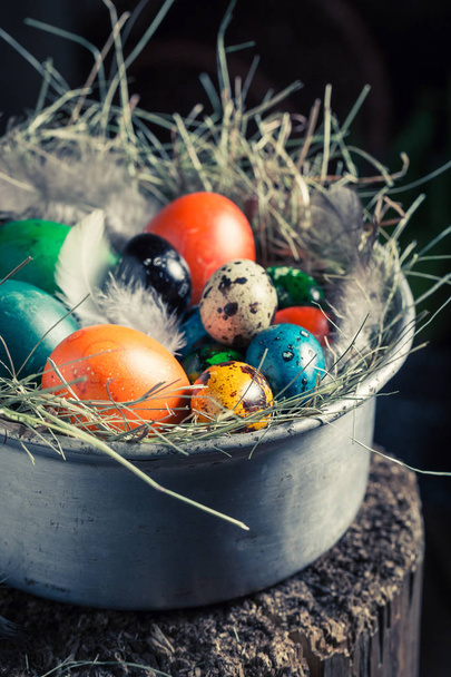 Farm Easter eggs with hay and feathers - Фото, зображення