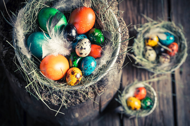 Fresh eggs for Easter in the nest with hay - Foto, imagen