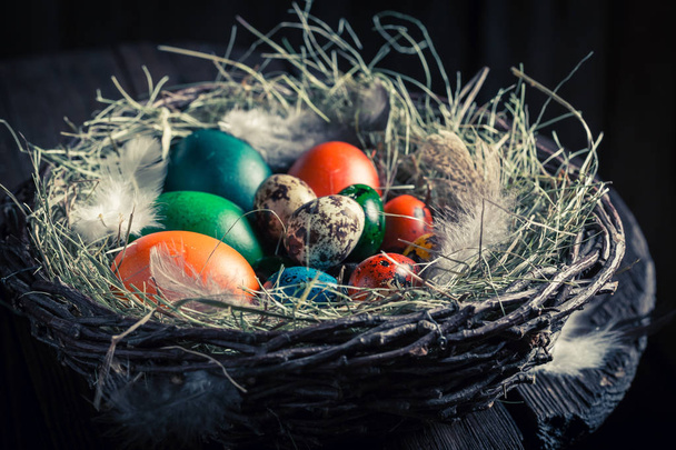 Various Easter eggs in wooden small henhouse - Фото, зображення