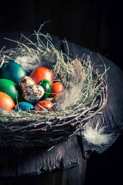 Colourfull eggs for Easter with hay and feathers - Φωτογραφία, εικόνα