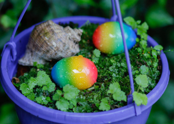 Œufs de Pâques et coquille dans le pot de fleurs violet
 - Photo, image