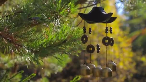 Closeup wind chimes swaying in the wind at autumn garden. Happiness, success - Footage, Video