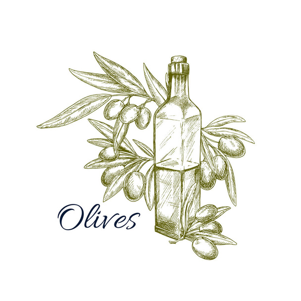 Aceite de oliva con boceto de fruta fresca para el diseño de alimentos
 - Vector, imagen