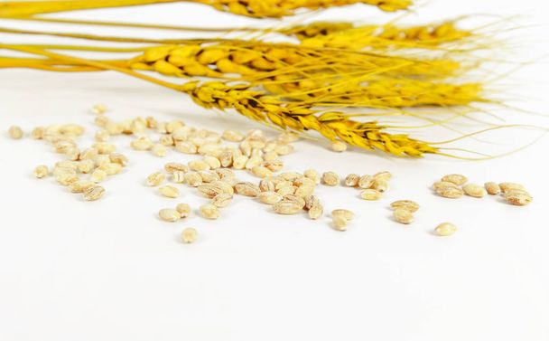 Orelhas de trigo e tigela de grãos de trigo
 - Foto, Imagem