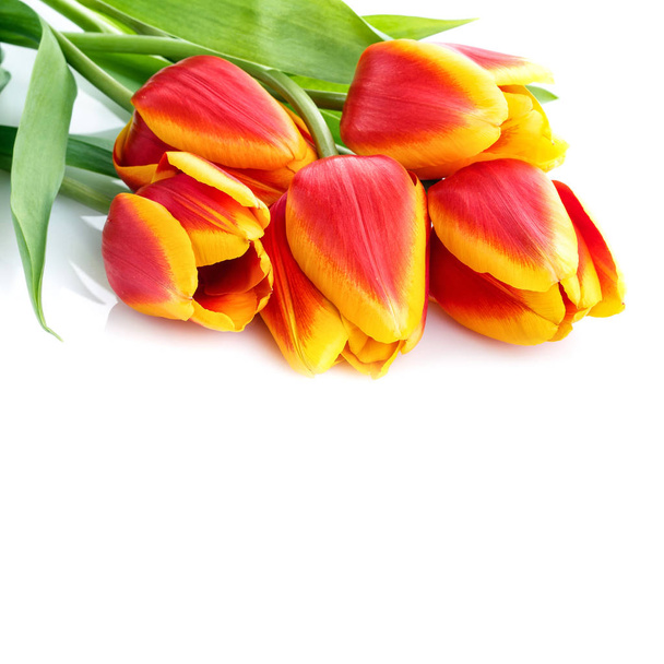 kytice žlutých tulipánů izolovaných na bílém pozadí - Fotografie, Obrázek