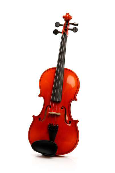 Violin on white - Foto, immagini