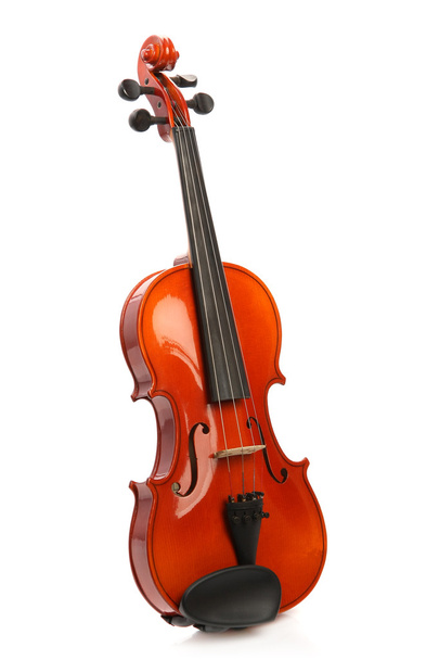 Violin on white - Foto, immagini
