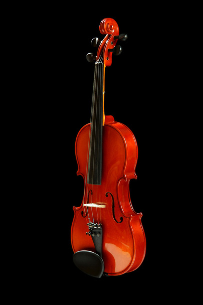 Violin on black - Zdjęcie, obraz