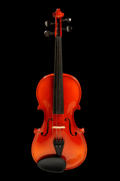 Violin on black - Foto, immagini