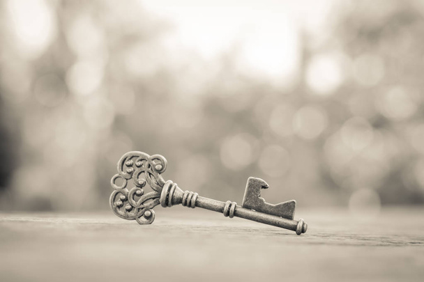 Old key on wood a bokeh background with copy space  - Фото, изображение