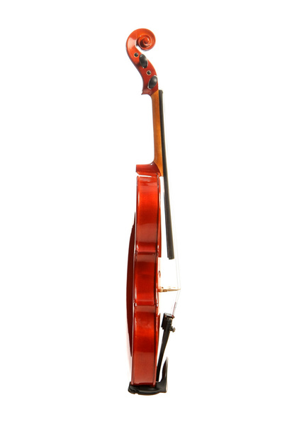 Violin on white - Фото, изображение