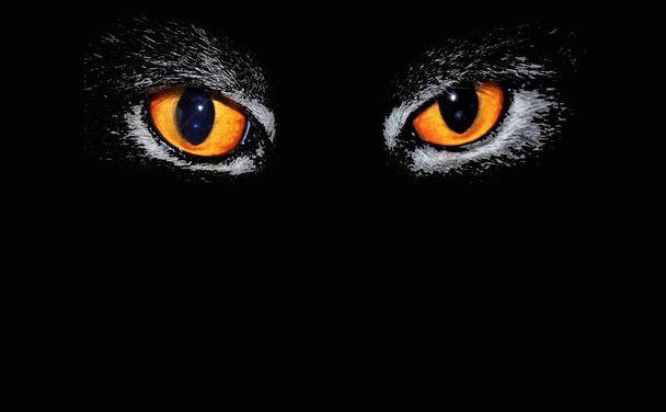 Кошачьи глаза на черном фоне
 - Фото, изображение