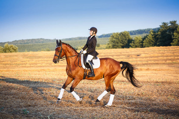 woman riding brown horse wearing helmet in field - Photo, Image