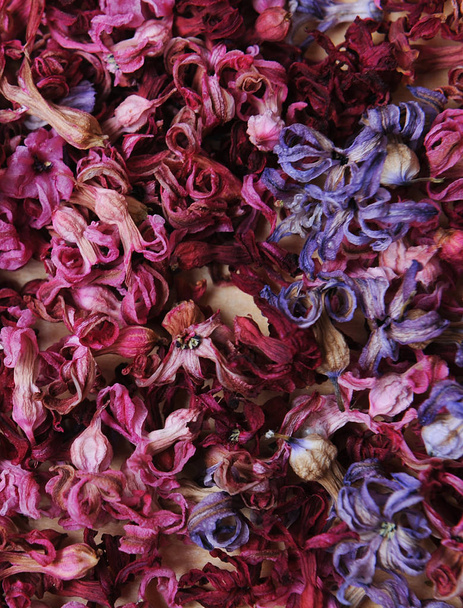 ドライフラワーの花のテクスチャ - 写真・画像