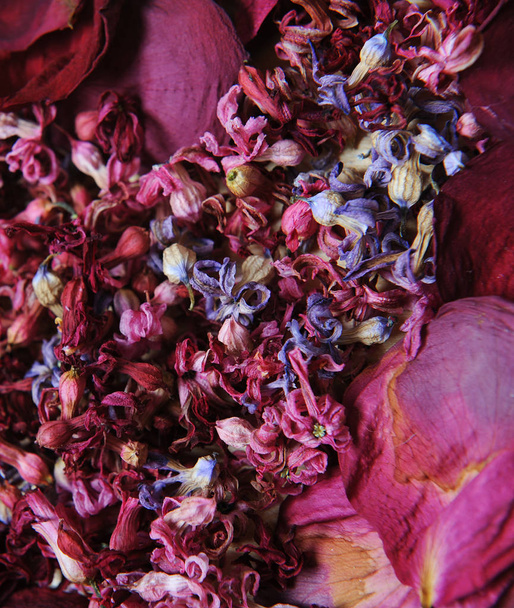 Квіткова текстура сухоцвітів
 - Фото, зображення
