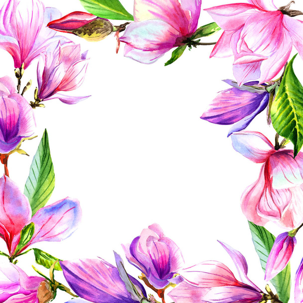 Vadvirág magnólia virág keret elszigetelt akvarell stílusú. - Fotó, kép